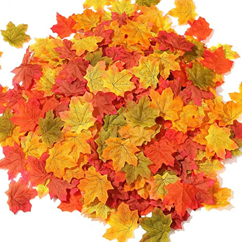 50/100/200 peças folhas de bor - Sphagnum Moss Dry avaliação e preço