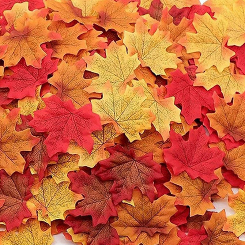 50/100/200 peças folhas de bor - Sphagnum Moss Dry avaliação e preço