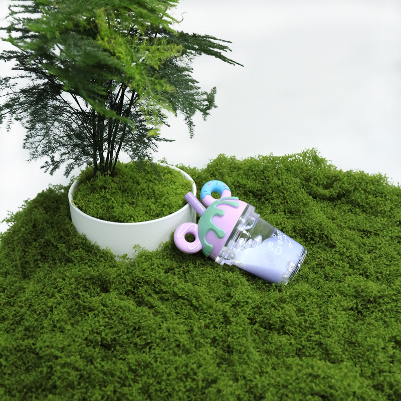 【P】50g Musgo Artificial para A - Sphagnum Moss Dry avaliação e preço