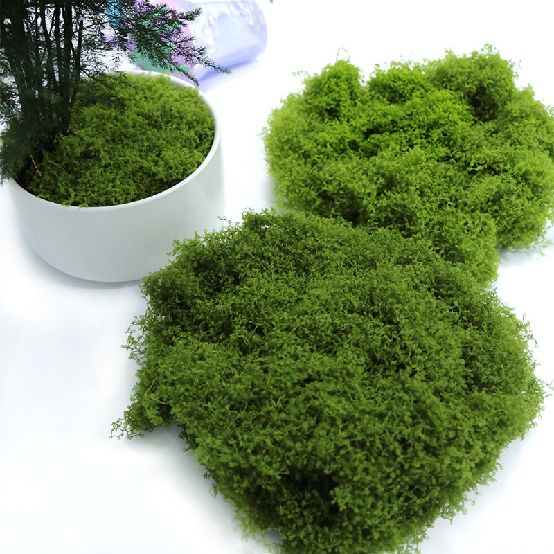 【P】50g Musgo Artificial para A - Sphagnum Moss Dry avaliação e preço