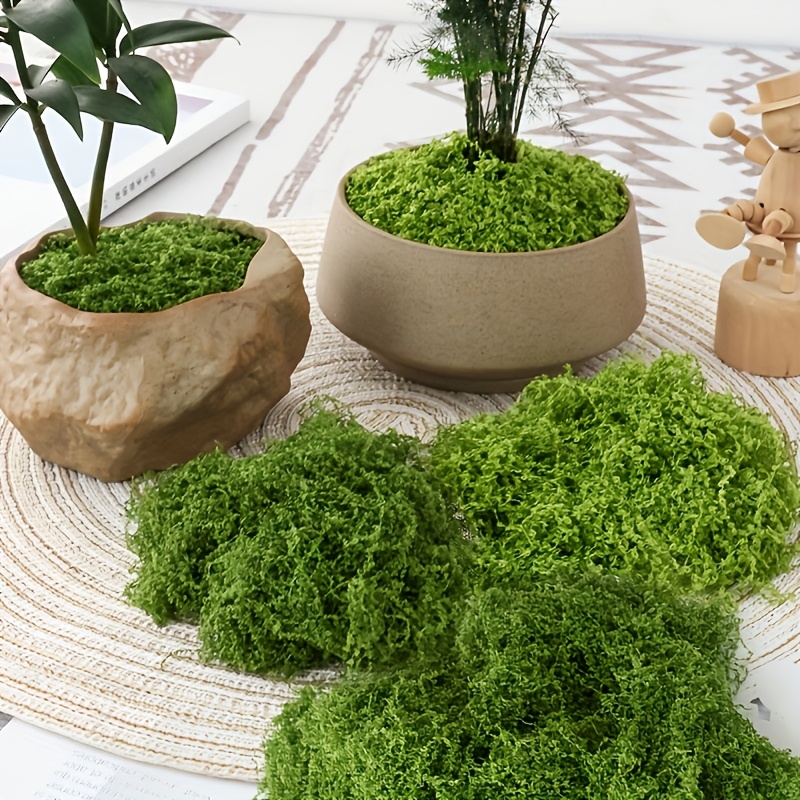 Grande pacote realista musgo a - Sphagnum Moss Dry avaliação e preço